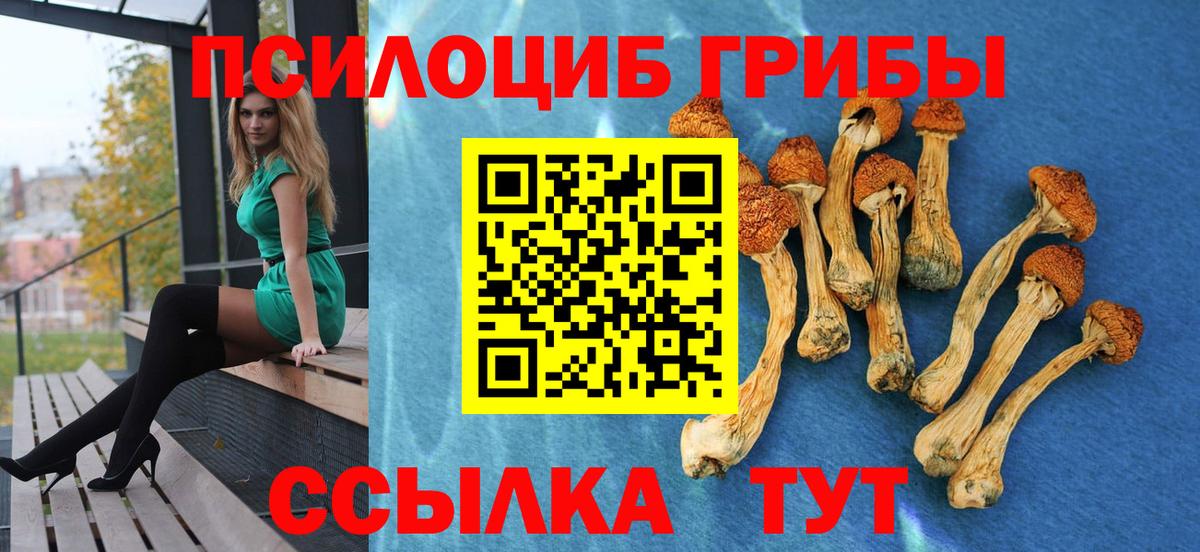 Галлюциногенные грибы Psilocybine cubensis Артёмовский